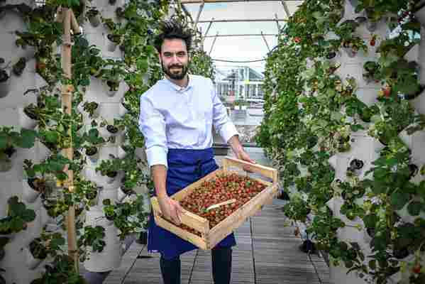 The world's largest urban farm has opened on a Paris rooftop