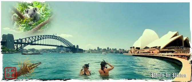 Depth tour in Sydney, Australia (Koala; Bundi, Kuji, Manley beaches; Darling Harbour, Sydney Harbour, Watsons Bay, St. Mary's C