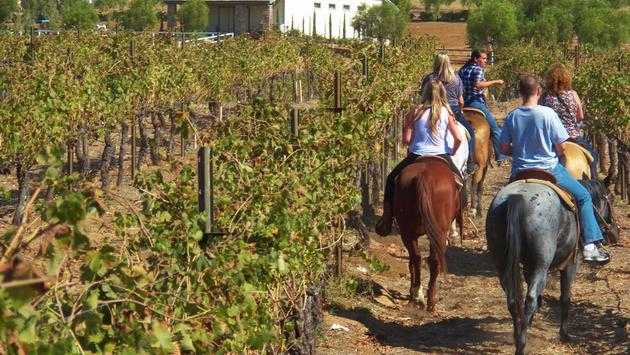 Off-The-Beaten-Path California Wine Regions Worth the Trip