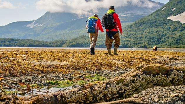 'Your Expedition Awaits' With Hurtigruten's Adventurous Voyages